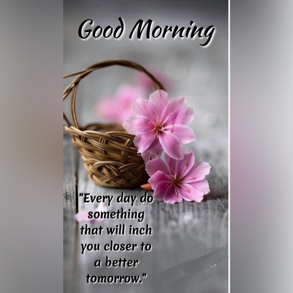 Meet your Posher, Gina - Picture 7 of 7